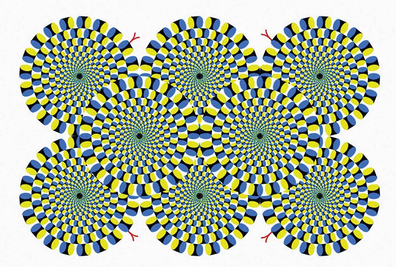 Как мозг обманывает нас с помощью оптических иллюзий